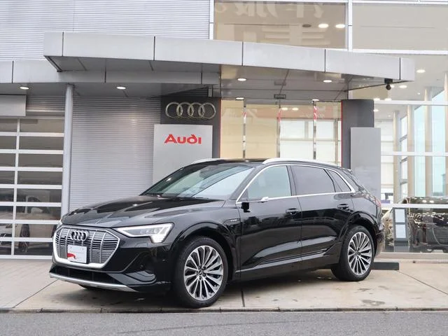 Audi E-TRON — фото 4