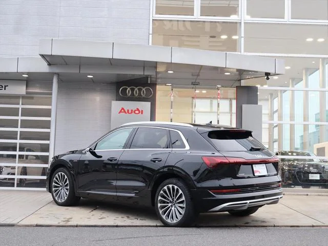 Audi E-TRON — фото 6