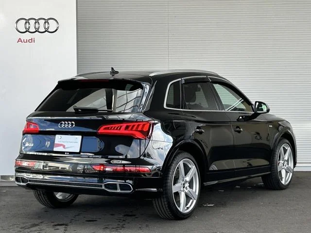 Audi SQ5 — фото 5