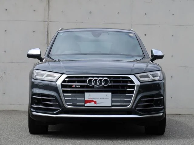 Audi SQ5 — фото 3