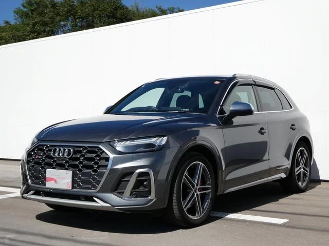 Audi SQ5 — фото 1