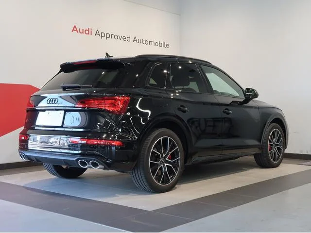 Audi SQ5 — фото 4