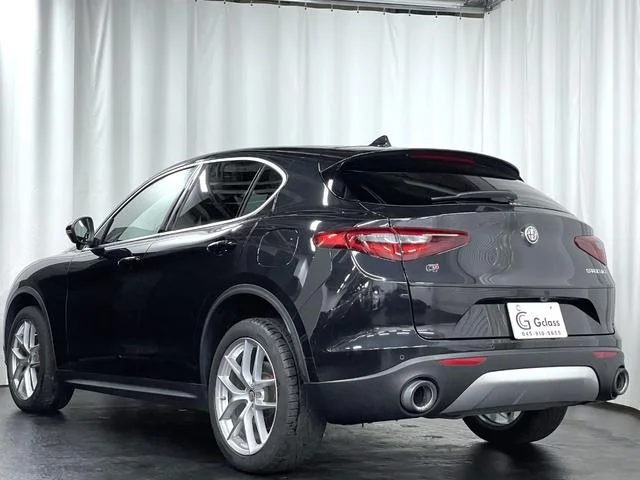 Alfa Romeo STELVIO — фото 2