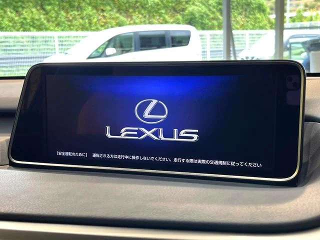 Lexus RX — фото 4