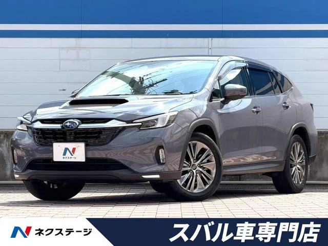 Subaru LEVORG LAYBACK — фото 1