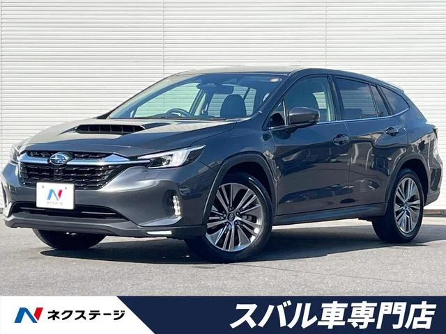 Subaru LEVORG LAYBACK — фото 1