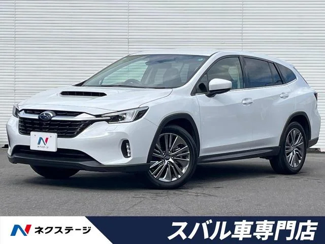 Subaru LEVORG LAYBACK — фото 1