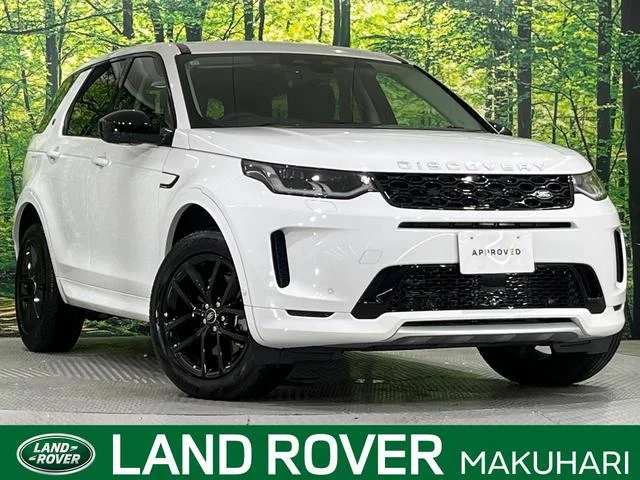 Land Rover DISCOVERY SPORT — фото 1