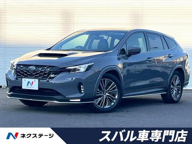 Subaru LEVORG LAYBACK — фото 1