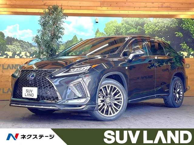 Lexus RX — фото 1