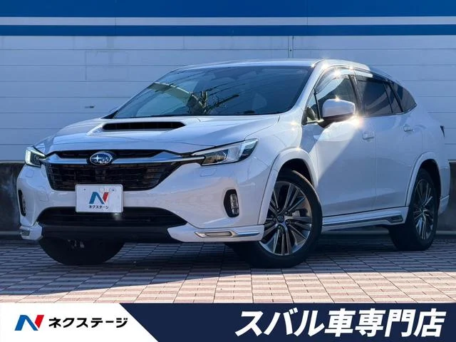 Subaru LEVORG LAYBACK — фото 1