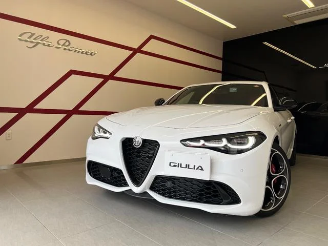 Alfa Romeo GIULIA — фото 1