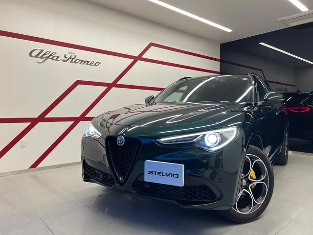 Alfa Romeo STELVIO — фото 1