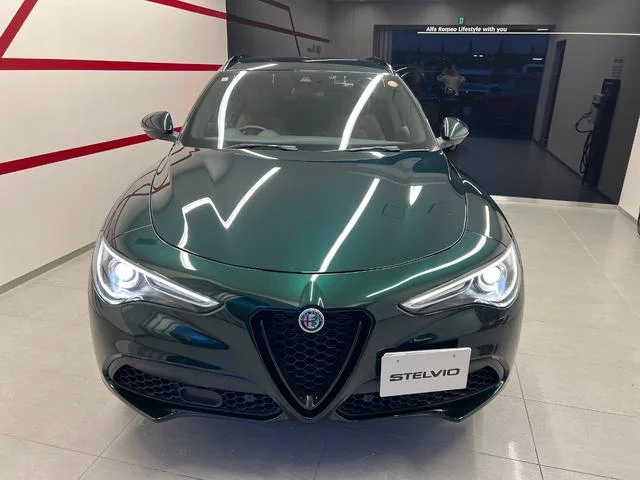 Alfa Romeo STELVIO — фото 2