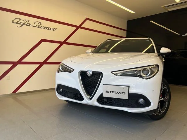 Alfa Romeo STELVIO — фото 1