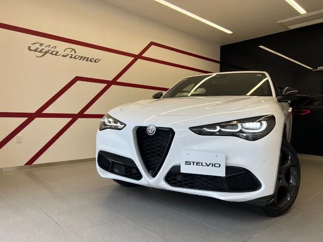 Alfa Romeo STELVIO — фото 2