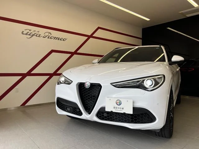Alfa Romeo STELVIO — фото 1