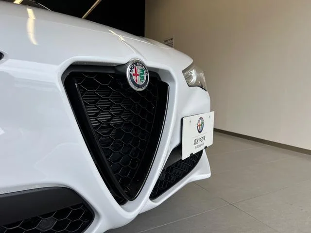 Alfa Romeo STELVIO — фото 2