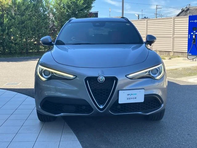 Alfa Romeo STELVIO — фото 2