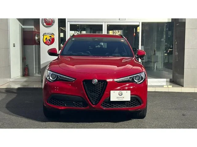 Alfa Romeo STELVIO — фото 2