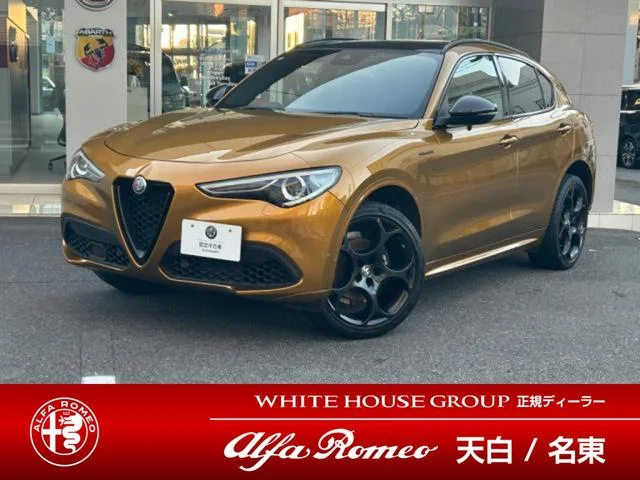 Alfa Romeo STELVIO — фото 1