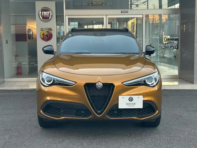 Alfa Romeo STELVIO — фото 2