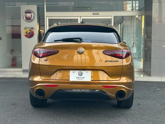 Alfa Romeo STELVIO — фото 3