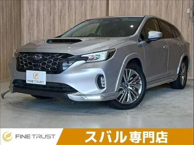 Subaru LEVORG LAYBACK — фото 1