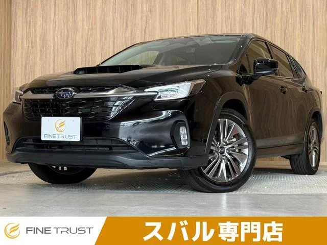 Subaru LEVORG LAYBACK — фото 1
