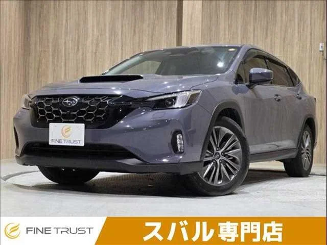 Subaru LEVORG LAYBACK — фото 1