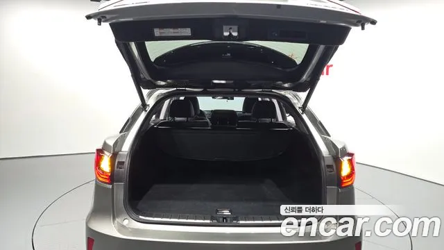 Lexus RX — фото 20