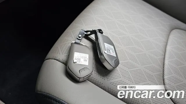 Kia Carnival — фото 14