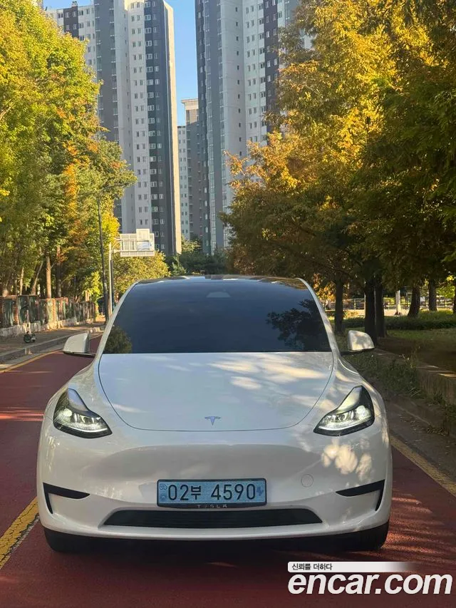 Tesla Model Y — фото 1