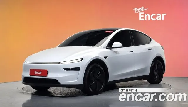Tesla Model Y — фото 20