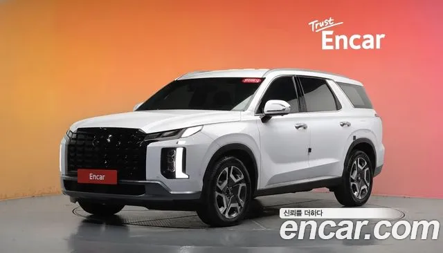 Hyundai Palisade — фото 20