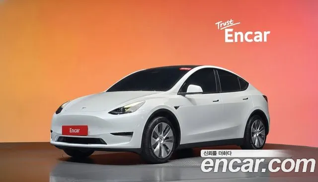Tesla Model Y — фото 20