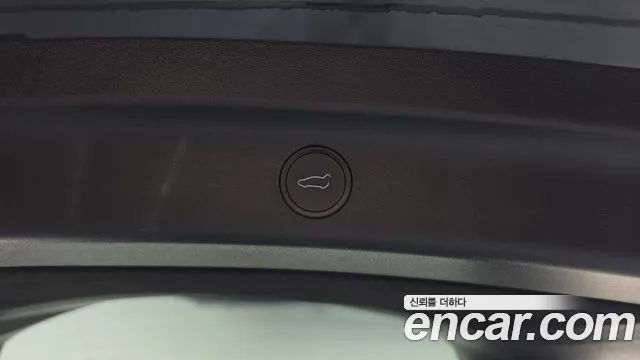 Tesla Model Y — фото 19