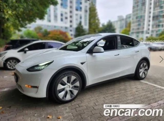 Tesla Model Y — фото 3