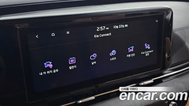 Kia Carnival — фото 15