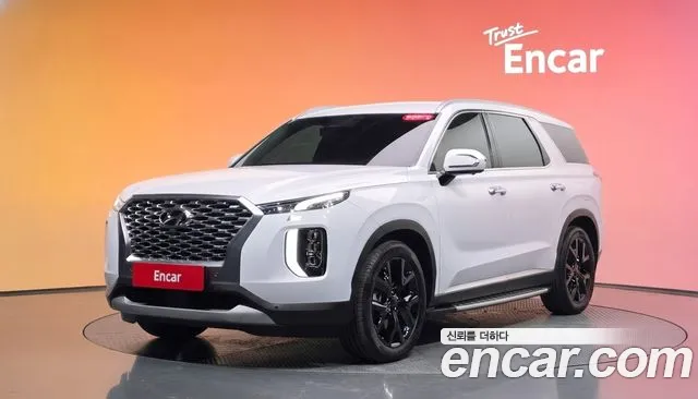 Hyundai Palisade — фото 20
