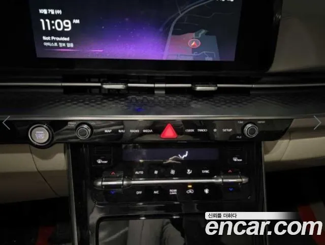 Kia Carnival — фото 13