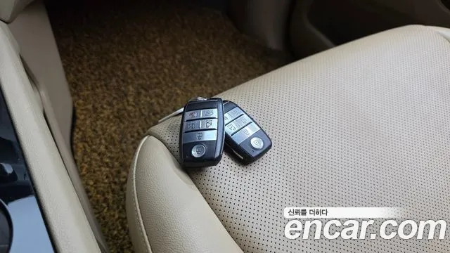 Kia Carnival — фото 16