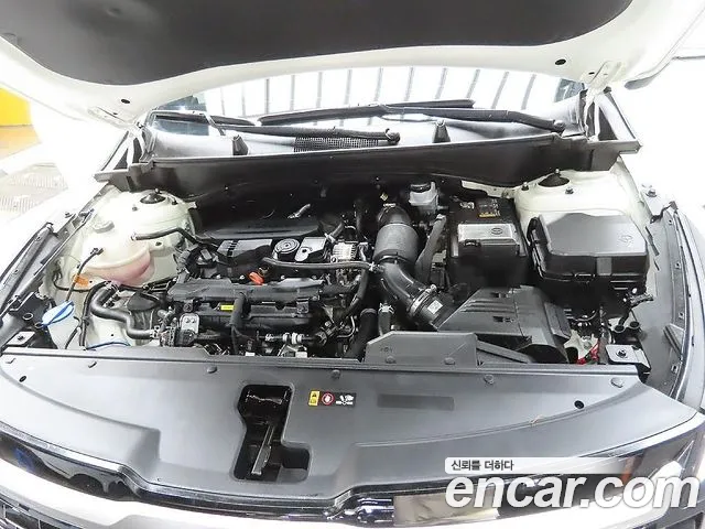 Kia Sportage — фото 6